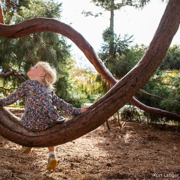 1.5.2020 At The Botanics — photograph 11 of 30