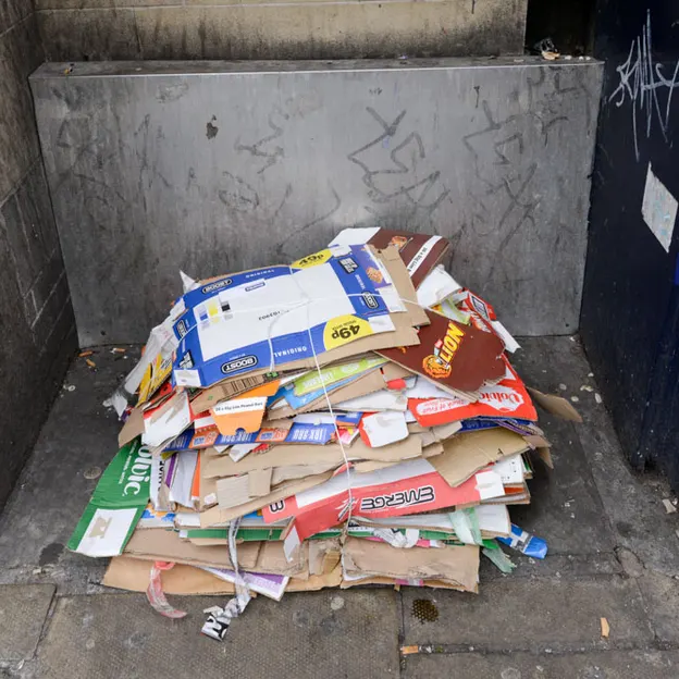 Rubbish — photograph 9 of 24