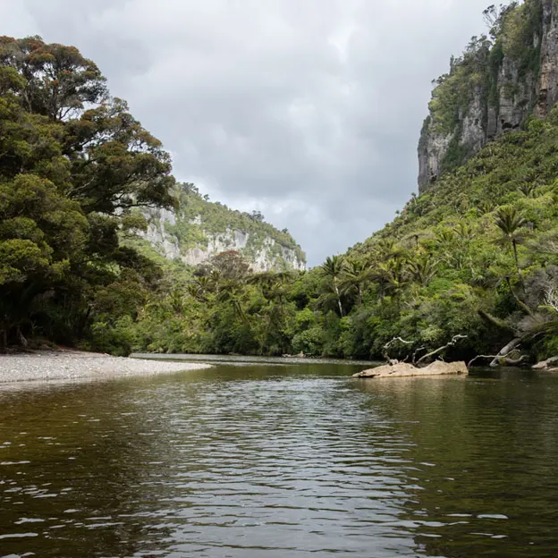 8.1.2020 Punakaiki — photograph 63 of 99