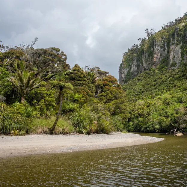 8.1.2020 Punakaiki — photograph 62 of 99