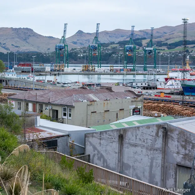 11.6.2020 Lyttelton Walkabouts — photograph 59 of 73