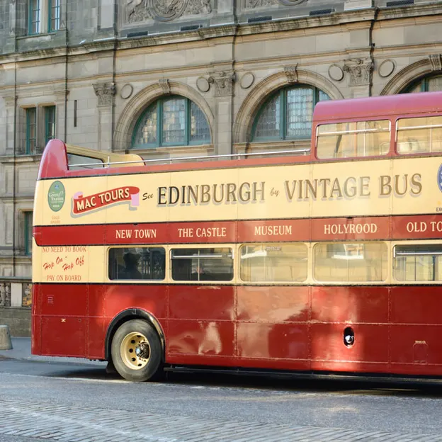 Sightseeing buses — photograph 9 of 10