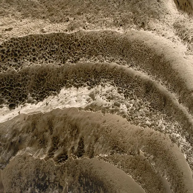 NZ Natural Abstracts — photograph 17 of 18