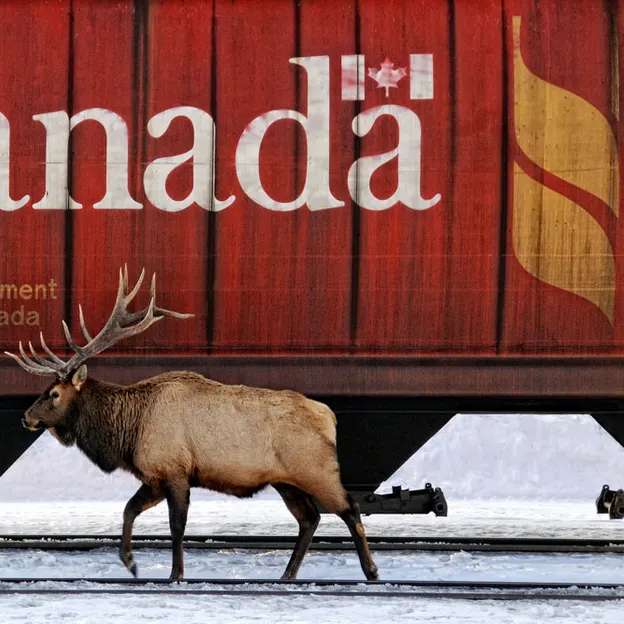 Canada 2009 — photograph 18 of 54