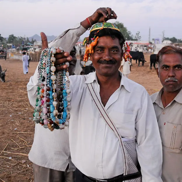 Incredible India 2010 — photograph 113 of 289