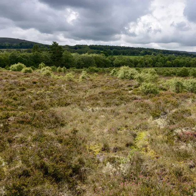 Edinburgh's Beautiful Countryside — photograph 15 of 34