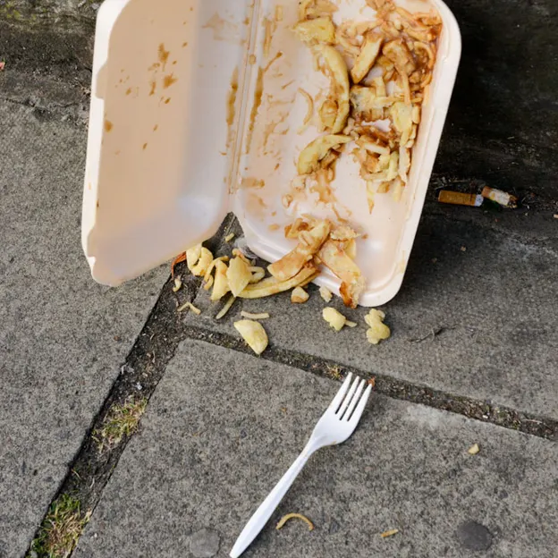 Rubbish — photograph 13 of 24