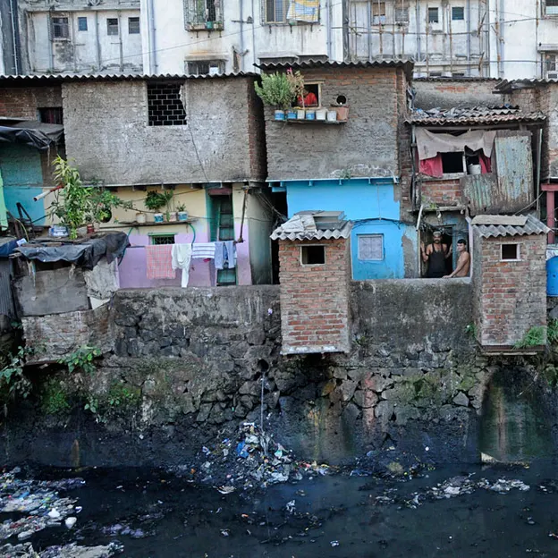 Incredible India 2010 — photograph 269 of 289