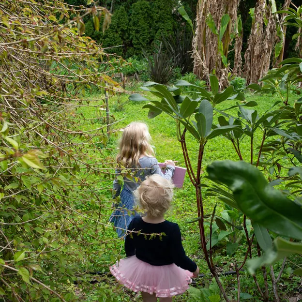 Little River Open Garden Day 27.10.2019 — photograph 36 of 113