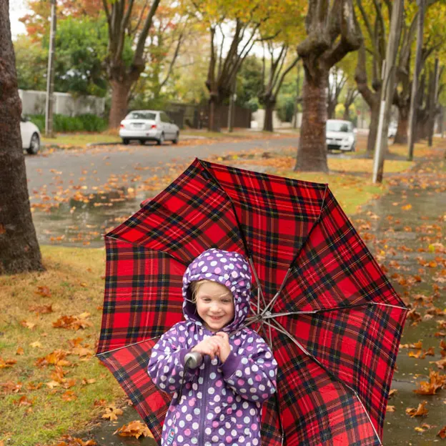 30.3.2020 A Walk In The Rain — photograph 13 of 22