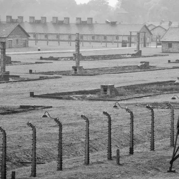 Auschwitz 2012 — photograph 22 of 27