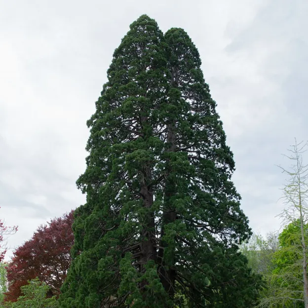 Little River Open Garden Day 27.10.2019 — photograph 103 of 113