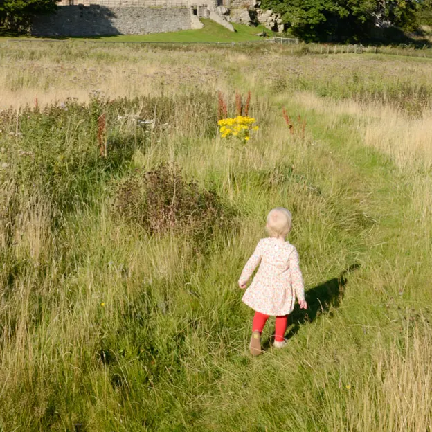 Skye's 2nd Year — photograph 77 of 150