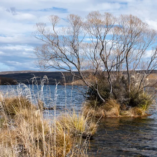 3.9.2020 Tekapo Trip — photograph 132 of 200