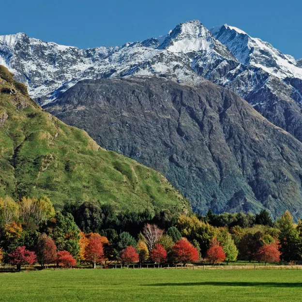 NZ Scenery — photograph 61 of 76
