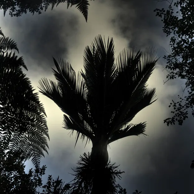NZ Scenery — photograph 41 of 76