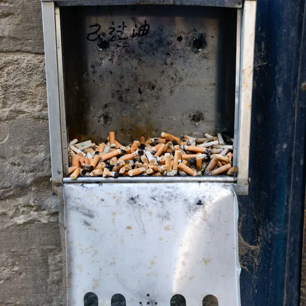 Rubbish — photograph 12 of 24