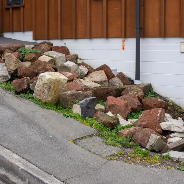 11.6.2020 Lyttelton Walkabouts — photograph 41 of 73