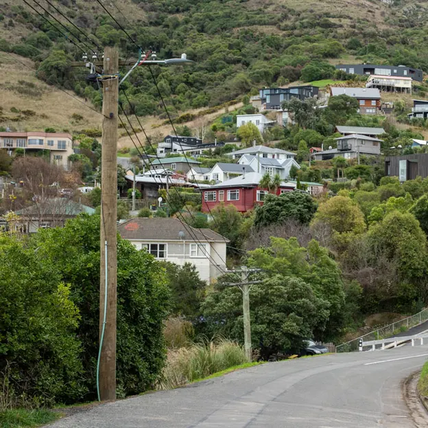 11.6.2020 Lyttelton Walkabouts — photograph 37 of 73