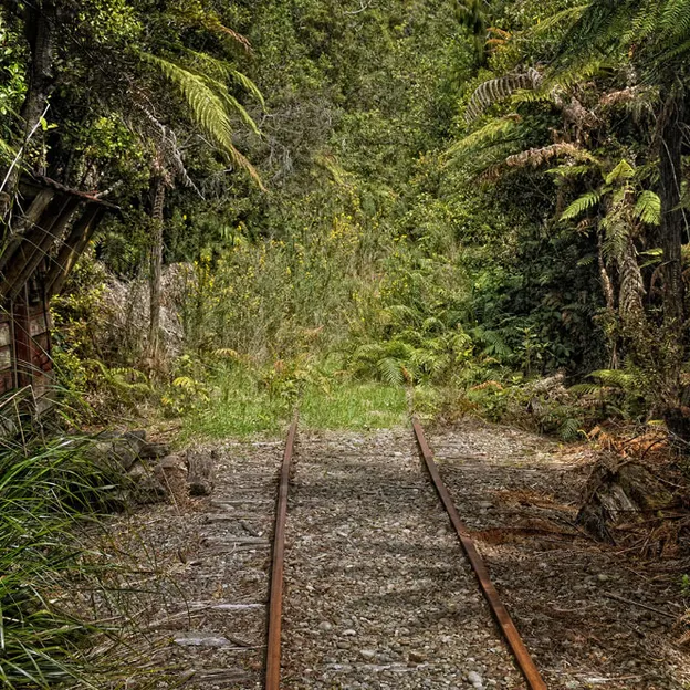 Kiwiana 1995 - 2010 — photograph 9 of 115