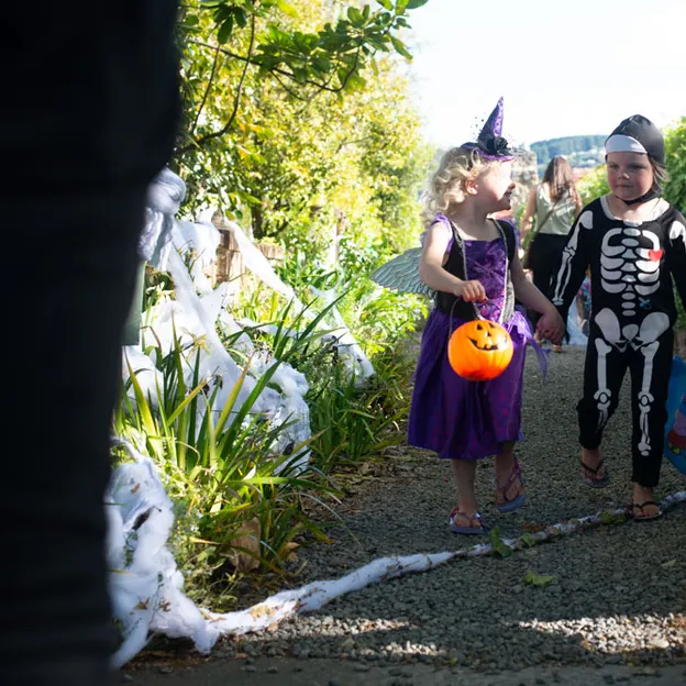 21.10.2020 Halloween — photograph 46 of 240