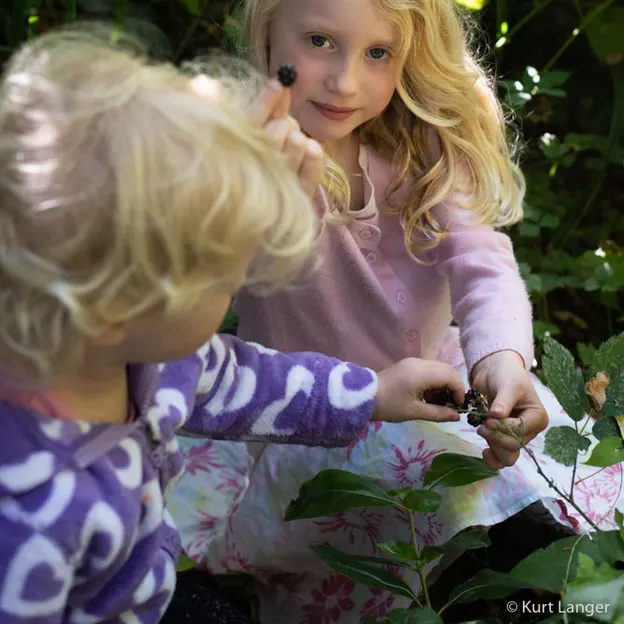 8.4.2020 Ernle Clark Reserve — photograph 13 of 23