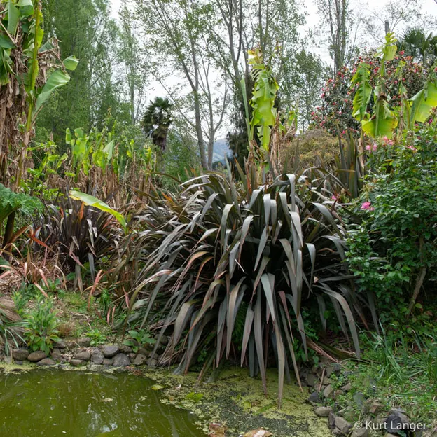 Little River Open Garden Day 27.10.2019 — photograph 32 of 113