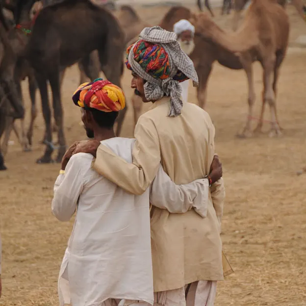 Incredible India 2010 — photograph 61 of 289