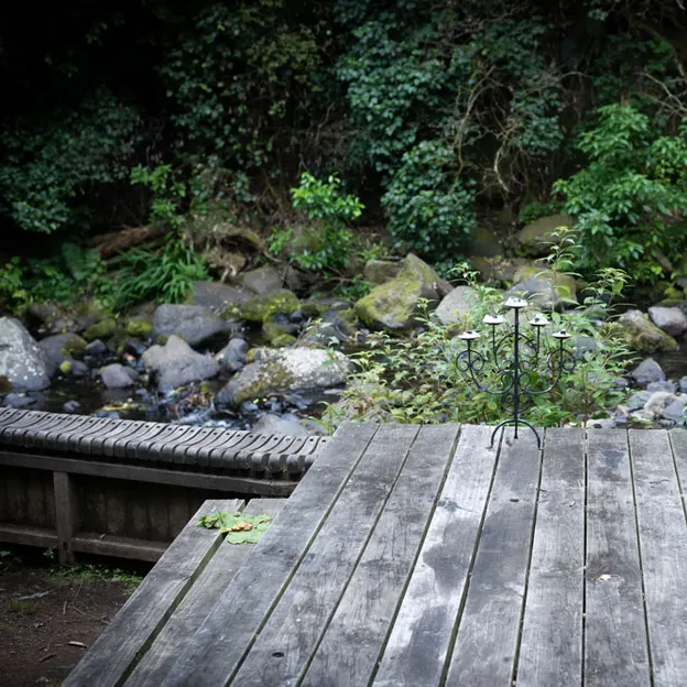 27.12.2020 Camping At Little River — photograph 95 of 100