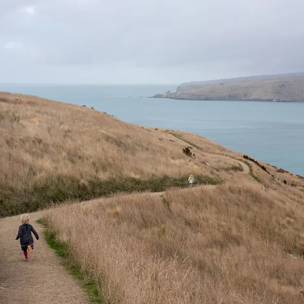 23.5.2020 Godley Head — photograph 14 of 54