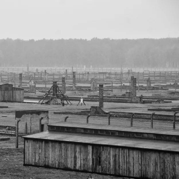 Auschwitz 2012 — photograph 20 of 27