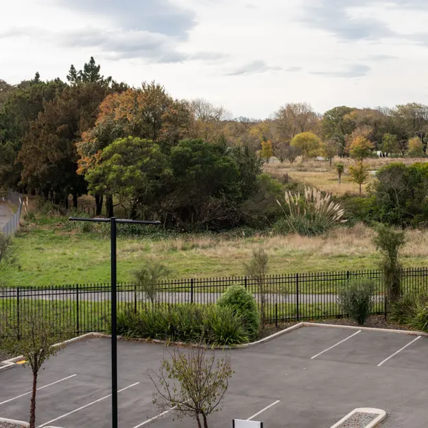 2.5.2020 Addington, South Hagley Park — photograph 61 of 84