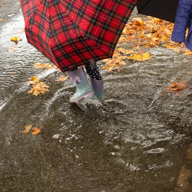 30.3.2020 A Walk In The Rain — photograph 10 of 22