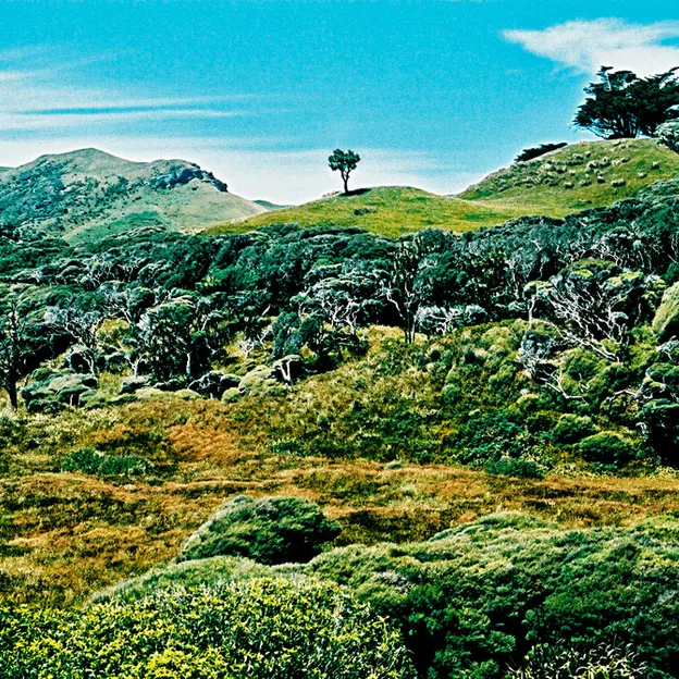 NZ Scenery — photograph 26 of 76
