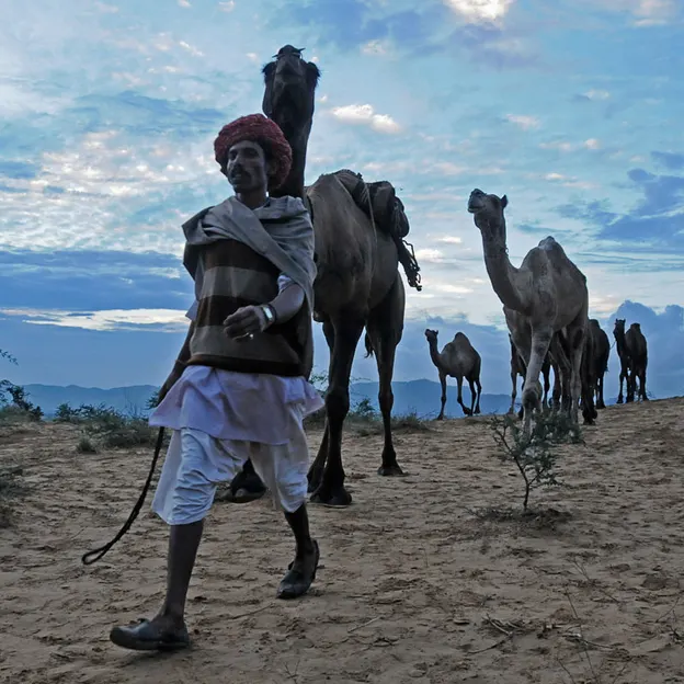 Incredible India 2010 — photograph 94 of 289