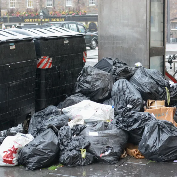 Rubbish — photograph 16 of 24