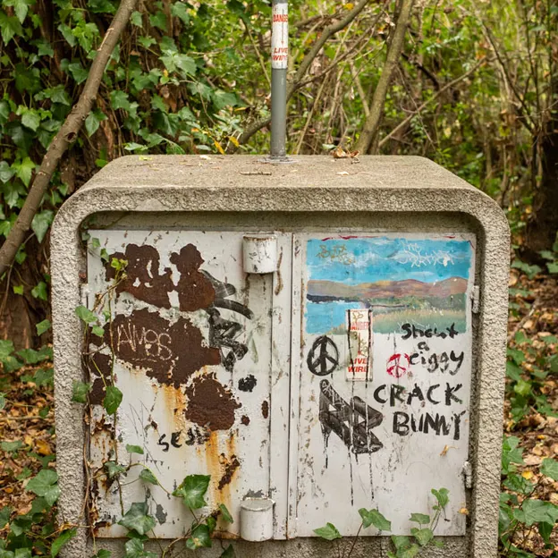 12.4.2020 Monavale — photograph 22 of 60