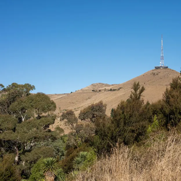 10.4.2020 Victoria Park — photograph 16 of 52