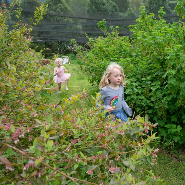 Little River Open Garden Day 27.10.2019 — photograph 60 of 113
