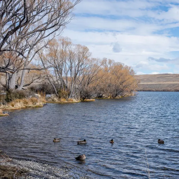 3.9.2020 Tekapo Trip — photograph 111 of 200