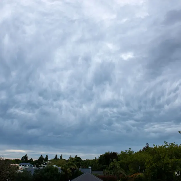 Skies — photograph 9 of 13