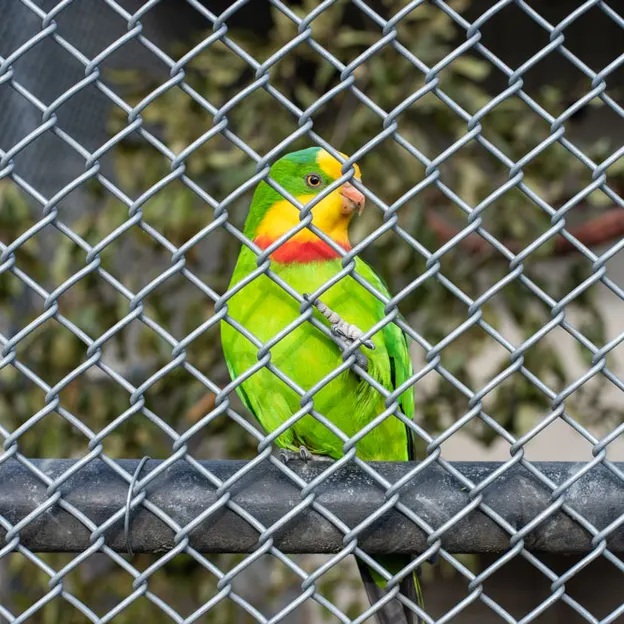 2.10.2020 Trip To Timaru (part 2) — photograph 106 of 183