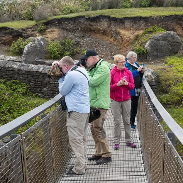 8.1.2020 Punakaiki — photograph 19 of 99