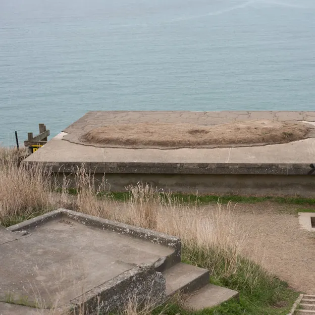 23.5.2020 Godley Head — photograph 21 of 54