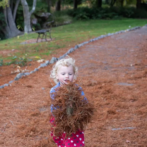 10.5.2020 Riccarton Bush & Millbrook  — photograph 26 of 31