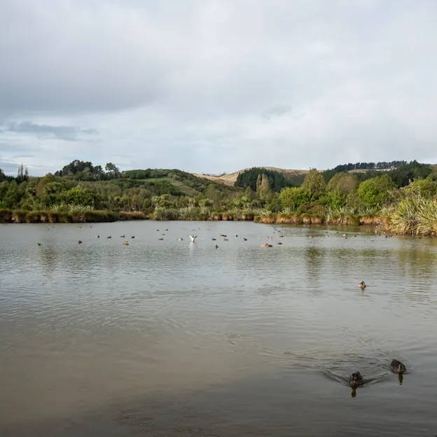 14.4.2020 Halswell Quarry Park — photograph 46 of 46