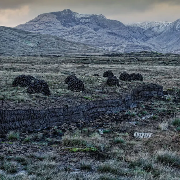Ireland For Paddys Day 2012 — photograph 44 of 48