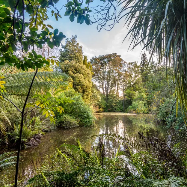 The NZ Garden At The Christchurch Botanical Gardens — photograph 36 of 52
