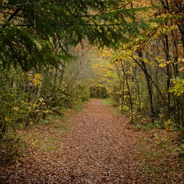 Hanmer Springs In Autumn — photograph 21 of 24
