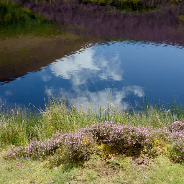 Edinburgh's Beautiful Countryside — photograph 27 of 34